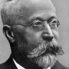 Braun