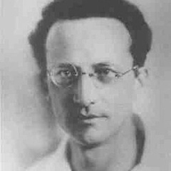 Erwin Schrödinger 1914